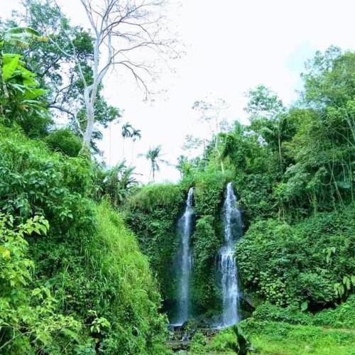 Angkringan dan Homestay Jamaq-Jamaq in Selebung Angkringan dan Homestay Jamaq-Jamaq in Selebung