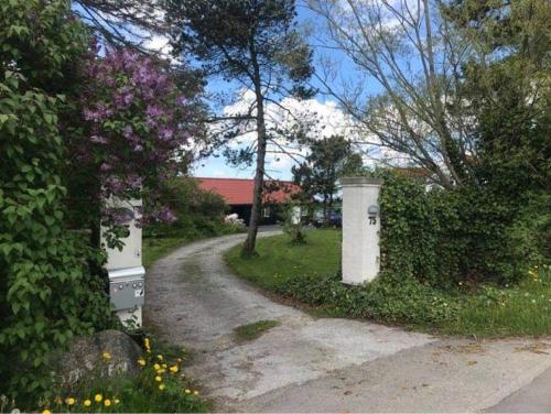 Country-living with a lovely view and own terrace, entrance and parking in Ρόσκιλντε Country-living with a lovely view and own terrace, entrance and parking in Ρόσκιλντε