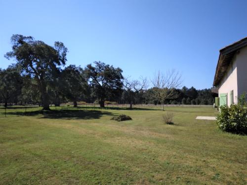 Garden, LE PETIT FROUAS CENTRE in Vielle-Saint-Girons Garden, LE PETIT FROUAS CENTRE in Vielle-Saint-Girons