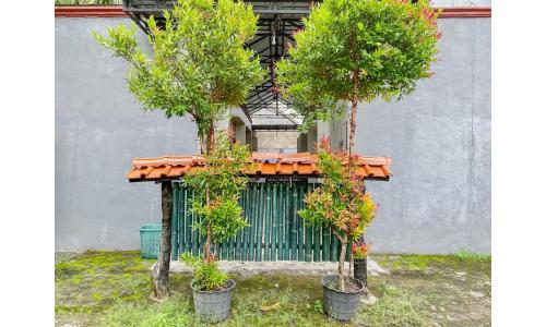 Griya Asri Syariah Mitra RedDoorz in Rogojampi Griya Asri Syariah Mitra RedDoorz in Rogojampi