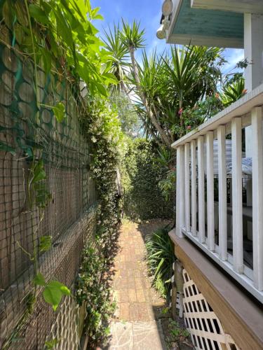 Studio Apartment Antonine near Audubon Park Studio Apartment Antonine near Audubon Park