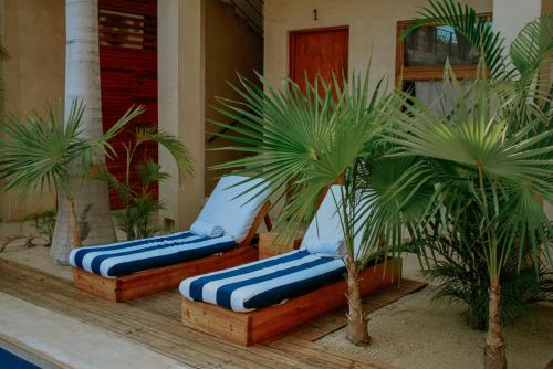 Létesítmények, Hotel Casa Tota in Todos Santos Létesítmények, Hotel Casa Tota in Todos Santos