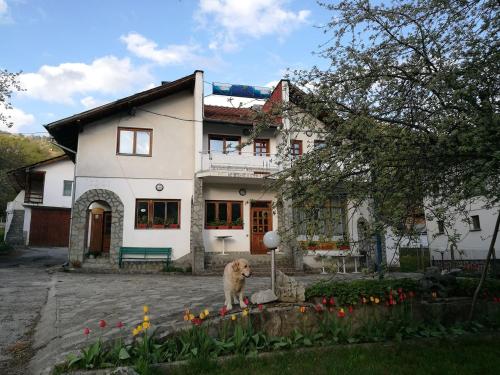 Самостоятелни стаи в къща за гости Балкан in 利巴利特沙 Самостоятелни стаи в къща за гости Балкан in 利巴利特沙