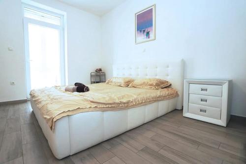 Zane in Bacvice Zane in Bacvice