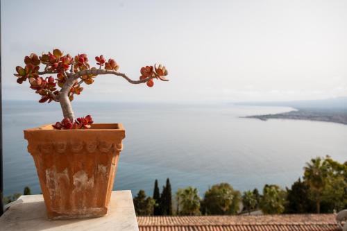 Vista, Hotel Elios Tao in Centro da Cidade de Taormina Vista, Hotel Elios Tao in Centro da Cidade de Taormina
