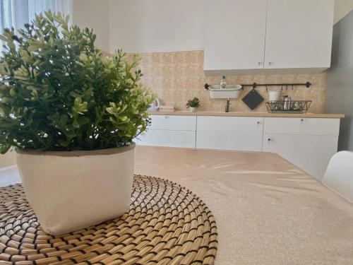 Guest House Service - Game Apartment in Modugno Guest House Service - Game Apartment in Modugno