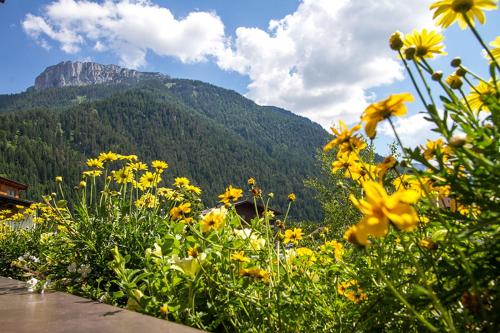 This photo about Glockenhof Olivier shared on HyHotel.com