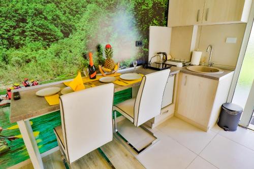 Kitchen, Simo apartments airport Podgorica in Podgorica Kitchen, Simo apartments airport Podgorica in Podgorica