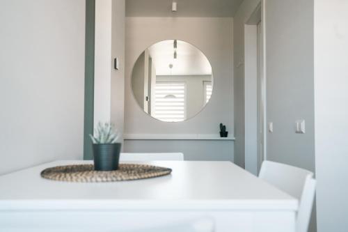Ausstattung, Grey Green Studio Apartment in Birstonas Ausstattung, Grey Green Studio Apartment in Birstonas