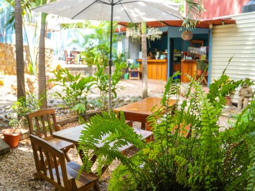 Garden, Hotel Boruca Tamarindo in Tamarindo Garden, Hotel Boruca Tamarindo in Tamarindo