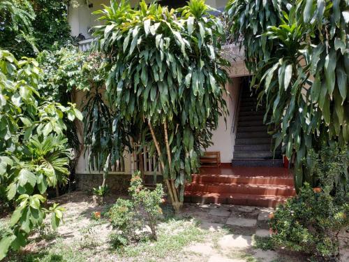 Nguyen Duy homestay in Cam Kim Nguyen Duy homestay in Cam Kim