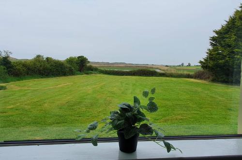 View, Bungalow fully renovated 2022 close to slob lands and beach in Kilmuckridge View, Bungalow fully renovated 2022 close to slob lands and beach in Kilmuckridge