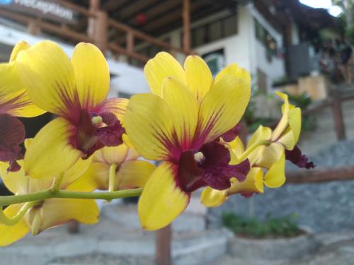 シービュー リゾート13