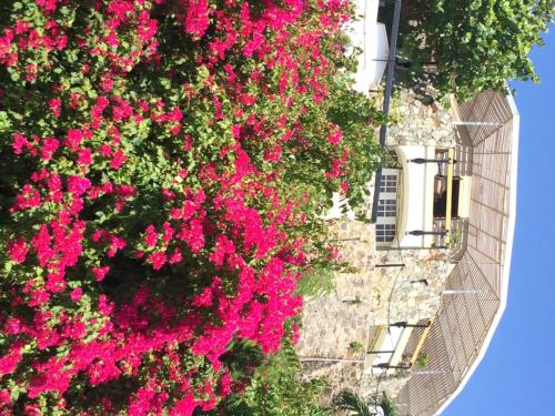 This photo about Fort Burt Hotel shared on HyHotel.com