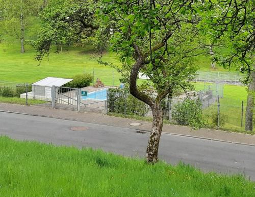 Ferienwohnung Rhododendron - Natur pur Kinderparadies in โรเทนบูร์ก อันแดร์ ฟุลดา Ferienwohnung Rhododendron - Natur pur Kinderparadies in โรเทนบูร์ก อันแดร์ ฟุลดา