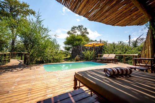 Swimming pool, South Okavango - Omogolo Hideaways in Gumare Swimming pool, South Okavango - Omogolo Hideaways in Gumare