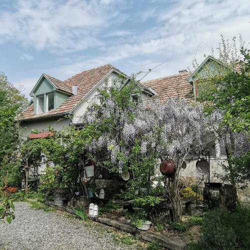 Forest View Studio in Siofok Forest View Studio in Siofok