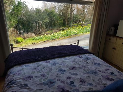 景觀, Hollybanks in 莫依庫倫 景觀, Hollybanks in 莫依庫倫