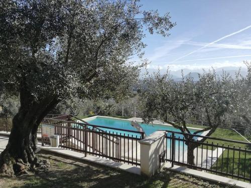 Swimming pool, The House of Olives in Roccasecca Swimming pool, The House of Olives in Roccasecca