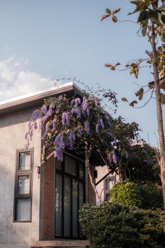 المنظر الخارجي, Casa Foresta Nan in ضواحي نان المنظر الخارجي, Casa Foresta Nan in ضواحي نان