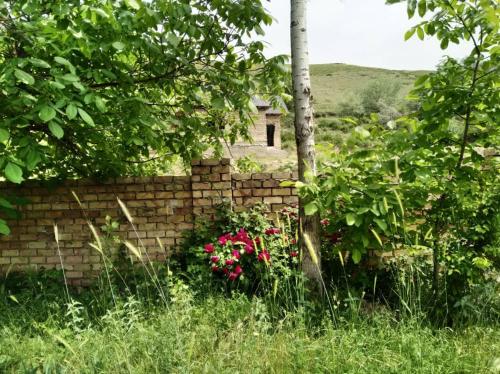 Guest house Bazarkurgan in Jalal-Abad Guest house Bazarkurgan in Jalal-Abad