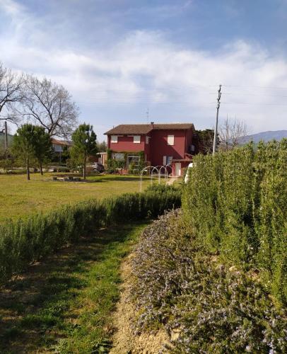 Garden, B&B Le Stagioni in Loreto Aprutino Garden, B&B Le Stagioni in Loreto Aprutino