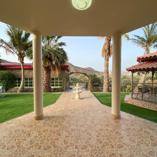 UAE farm in Fujairah Beach UAE farm in Fujairah Beach