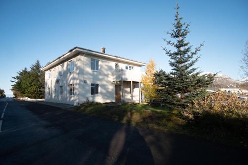 المنظر الخارجي, The Guesthouse by the Fjord in Thingeyri المنظر الخارجي, The Guesthouse by the Fjord in Thingeyri