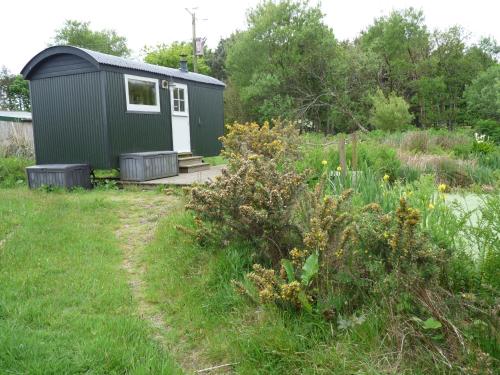 ทัศนียภาพภายนอกโรงแรม, Shepherds Hut on Cornish Smallholding in แซนครีด ทัศนียภาพภายนอกโรงแรม, Shepherds Hut on Cornish Smallholding in แซนครีด