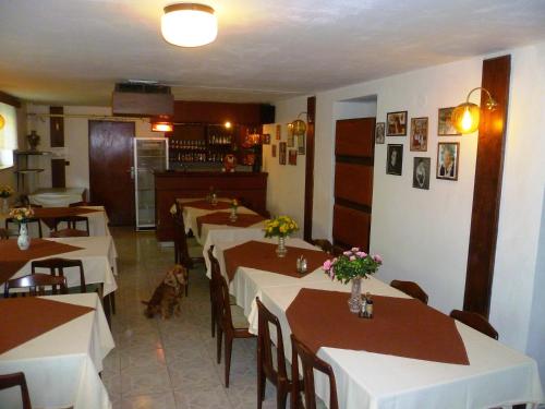 Bar/ Salón, Pension Migr in Harrachov Bar/ Salón, Pension Migr in Harrachov