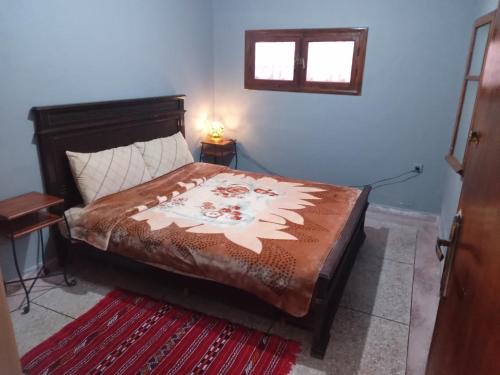 PalmTree in Lotissement Nassim 3 PalmTree in Lotissement Nassim 3