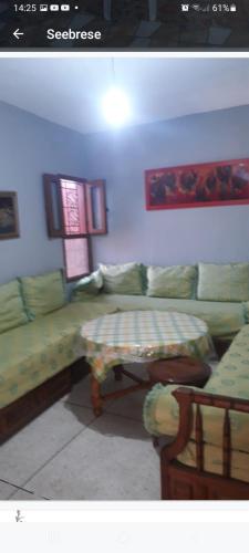 PalmTree in Lotissement Nassim 3 PalmTree in Lotissement Nassim 3