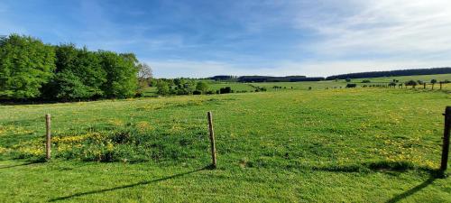 Maison Belle Vue in Gouvy Maison Belle Vue in Gouvy
