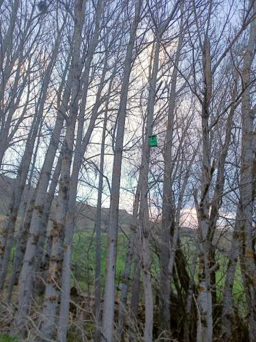 運動及活動, El Rinconcico in 巴爾德利納雷斯 運動及活動, El Rinconcico in 巴爾德利納雷斯