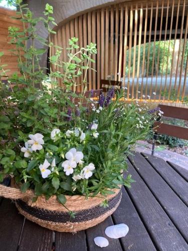 花園, Agli Hotel in 諾爾登 花園, Agli Hotel in 諾爾登