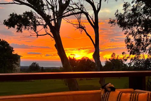 Chic Waikoloa Condo with Lanai and Complex Pools! in Waikoloa (HI) Chic Waikoloa Condo with Lanai and Complex Pools! in Waikoloa (HI)