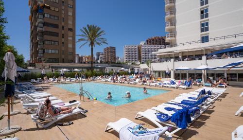 Zwembad, Medplaya Hotel Riudor - Adults Only in Benidorm Zwembad, Medplaya Hotel Riudor - Adults Only in Benidorm