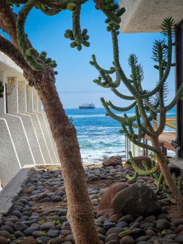 Khu vực xung quanh, Panamericana Hotel Arica in Arica Khu vực xung quanh, Panamericana Hotel Arica in Arica