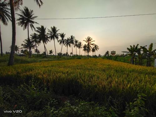 Srinivasa Homestay in Hospet Srinivasa Homestay in Hospet