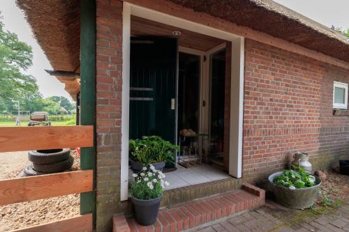 Entrance, Het Grote Paard in Havelte Entrance, Het Grote Paard in Havelte