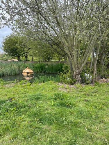 Stylish apartment with stunning views in Chislet Stylish apartment with stunning views in Chislet