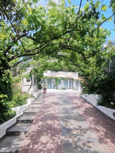 Elsa Hotel in Skiathos Island Elsa Hotel in Skiathos Island