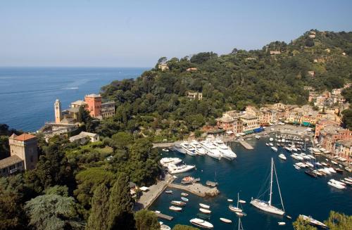 מתקני המלון, Hotel Piccolo Portofino in פורטופינו מתקני המלון, Hotel Piccolo Portofino in פורטופינו