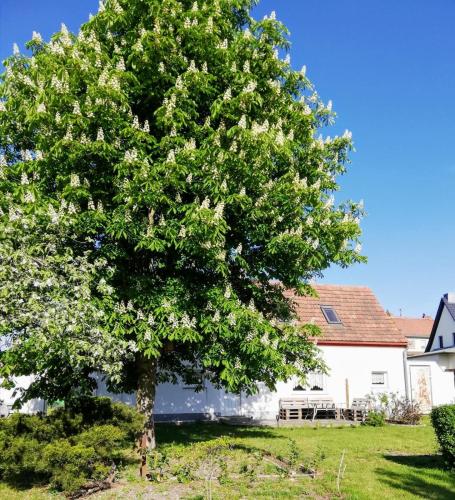 Exterior view, Ferienwohnung Lodig in Lohsa Exterior view, Ferienwohnung Lodig in Lohsa