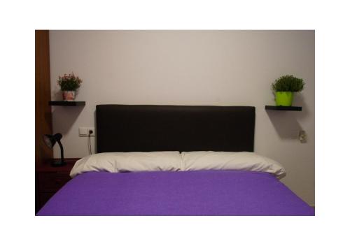 Lo Mirador del Passador