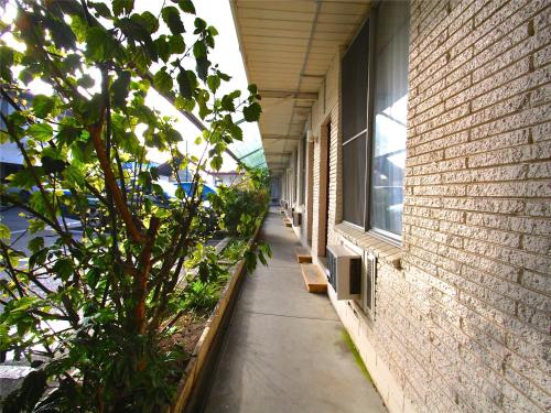 外部景觀, 麥龍汽車旅館 (Motel Maroondah) in 博克斯希爾 外部景觀, 麥龍汽車旅館 (Motel Maroondah) in 博克斯希爾