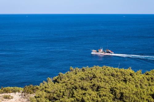 Okružje, Sagres Sun Stay - Surf Camp & Hostel in Sagres Okružje, Sagres Sun Stay - Surf Camp & Hostel in Sagres