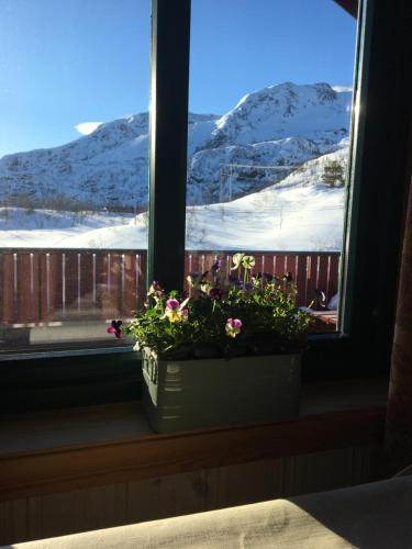 Balkon/terasa, Reinunga Eco-hytta in Myrdal Balkon/terasa, Reinunga Eco-hytta in Myrdal