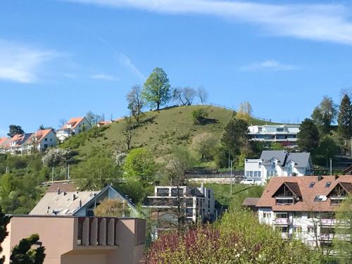 Facilities, Hilltop-house, near train, 180° panorama, friendly in Dietikon Facilities, Hilltop-house, near train, 180° panorama, friendly in Dietikon