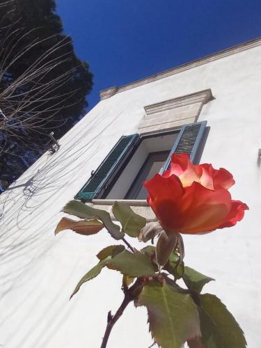Villa Charme Luxury in Latiano Villa Charme Luxury in Latiano
